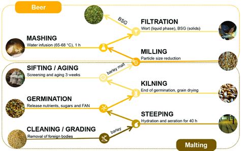  Barley: Un Analyse Complexe de la Production et des Applications Industrielles du Grain Ancestral !