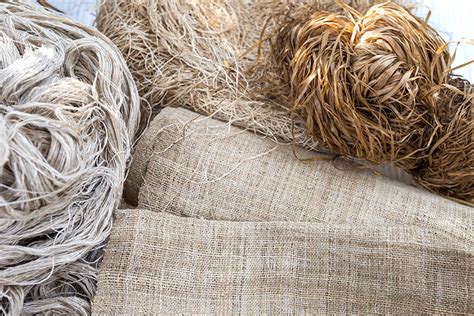  Hemp: Un Fibre Durable et Polyvalente pour une Industrie Textile en Évolution !