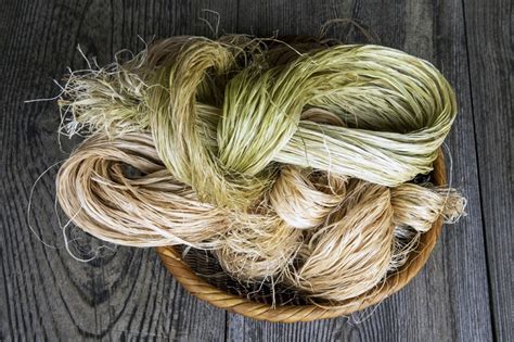 Ramie: Une Fibre Naturelle à Haute Résistance pour les Textiles de Luxe !