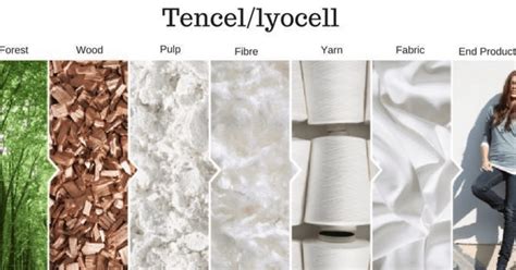 Tencel® : La Fibres Cellulosique pour un Textile Durable et Respirant !