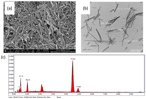  Titanate Nanotubes: Une révolution pour les matériaux de haute performance et l'ingénierie des tissus biologiques !