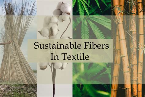  Zéphyr: Une Fibre Textile Exceptionnelle pour la Mode Durable et l'Innovation en Tissage !